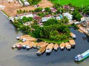 Nhà máy đường bị đình chỉ vì gây ô nhiễm, hàng chục hộ bán mía sắp... chết chìm Nhà máy đường bị đình chỉ vì gây ô nhiễm, hàng chục hộ bán mía sắp... chết chìm