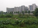 Hà Nội thu hồi 2 dự án không qua đấu thầu Hà Nội thu hồi 2 dự án không qua đấu thầu