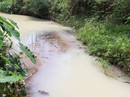 Đà Nẵng: Không kiểm soát xả thải, một công ty bị phạt 180 triệu đồng Đà Nẵng: Không kiểm soát xả thải, một công ty bị phạt 180 triệu đồng