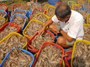 Thủy sản chính ngạch chưa bù được tiểu ngạch Thủy sản chính ngạch chưa bù được tiểu ngạch