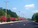 Giá đất Cần Giờ tăng hơn 200% sau các cơn sốt đất Giá đất Cần Giờ tăng hơn 200% sau các cơn sốt đất
