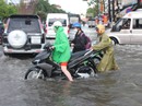 Sau cơn mưa trắng trời, CSGT Bạc Liêu giúp dân di chuyển trong "biển" nước Sau cơn mưa trắng trời, CSGT Bạc Liêu giúp dân di chuyển trong "biển" nước
