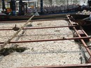 Thảm kịch trên sông La Ngà Thảm kịch trên sông La Ngà