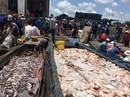 Thảm kịch trên sông La Ngà: Không lẽ cá cũng đuối nước?! Thảm kịch trên sông La Ngà: Không lẽ cá cũng đuối nước?!