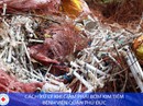 5 người hoảng loạn vì giẫm phải kim tiêm 5 người hoảng loạn vì giẫm phải kim tiêm