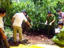 Án mạng rúng động: Sát hại cả 3 bà cháu Án mạng rúng động: Sát hại cả 3 bà cháu