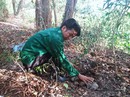 Vụ hơn 300 thi thể thai nhi ở nhà máy rác: Tạm dừng khai quật hũ sành Vụ hơn 300 thi thể thai nhi ở nhà máy rác: Tạm dừng khai quật hũ sành
