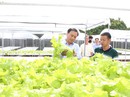 Những mô hình hữu cơ tiền tỉ ở ĐBSCL Những mô hình hữu cơ tiền tỉ ở ĐBSCL