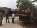 Đã tốn 3.600 tỉ đồng vì dịch tả heo Đã tốn 3.600 tỉ đồng vì dịch tả heo