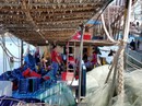 Ngư dân Quảng Nam trình báo bị tàu Trung Quốc cướp 2 tấn mực Ngư dân Quảng Nam trình báo bị tàu Trung Quốc cướp 2 tấn mực