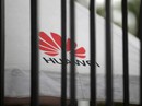 An ninh quốc gia Mỹ bị đe dọa vì... cấm Huawei? An ninh quốc gia Mỹ bị đe dọa vì... cấm Huawei?