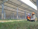 Tấm pin điện mặt trời, xử lý sao? Tấm pin điện mặt trời, xử lý sao?