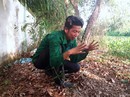 Chủ tịch Cà Mau lên tiếng việc nhà máy rác phát hiện hơn 300 thi thể thai nhi Chủ tịch Cà Mau lên tiếng việc nhà máy rác phát hiện hơn 300 thi thể thai nhi