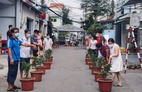 Cuộc thi chăm sóc cây trong xóm cách ly