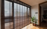 Không gian sống thư thái tại TPHCM: Sự kết hợp hoàn hảo giữa cây xanh và rèm cửa tự nhiên