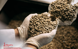 Nhượng quyền thương hiệu cà phê sạch và chất lượng đạt chuẩn ISO 22000:2018