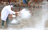 Cần Thơ thực hiện tháng tổng vệ sinh, khử trùng, tiêu độc môi trường