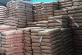 Doanh nghiệp nhập khẩu lúa mì