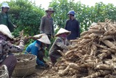 Tô phở hơn 1,3 tấn của Việt Nam lập kỷ lục thế giới