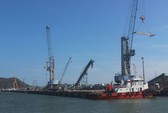 Bình Định: Chuyển 5 đơn vị sự nghiệp công lập thành công ty cổ phần