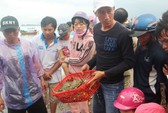 Tôm hùm, cá bớp chết la liệt, người nuôi chớp mắt mất tiền tỉ