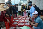 Nhiều loại nông thủy sản tăng giá trở lại