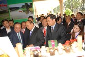 Đồng Tháp chủ động phá thế độc canh cây lúa