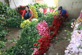 Đà Lạt không