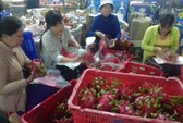 Thanh long Bình Thuận tăng giá đột biến