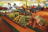 Cơ hội đưa thực phẩm, dệt may, hàng tiêu dùng... sang Cuba