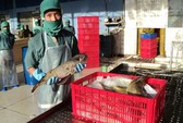 Lên mạng tìm bạn hàng