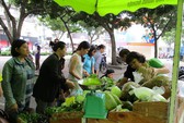 Thủ tướng Nguyễn Xuân Phúc khen ngợi bưởi Phúc Trạch