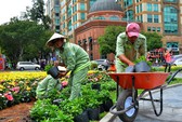 Cổ phần hóa ở TP HCM vẫn ì ạch vì vướng đất công