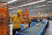 Nhật mang táo, thịt bò, tỏi đen giá cao ngất ngưởng đến Việt Nam