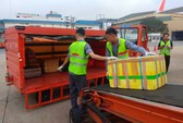 Vì sao Jetstar sa thải 2 nhân viên bốc xếp ở sân bay?