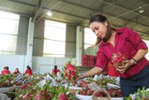 Thêm cơ hội hợp tác doanh nghiệp Việt - Trung