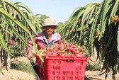 Lại kêu gọi