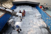 22 doanh nghiệp Trung Quốc nhập khẩu gạo đến Việt Nam