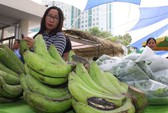 Chuối Đồng Nai lại rớt giá