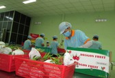 Sức ép cạnh tranh từ CPTPP