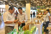 Đồng Tháp: Homestay gắn với Tràm Chim