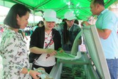 TP HCM liên kết ĐBSCL xây chuỗi nông sản