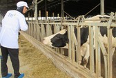 Đầu tư vào nông nghiệp vẫn khó!