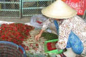Nhiều nước cũng bị Malaysia ngừng nhập khẩu ớt