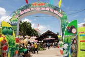 Đậm đà chất phương Nam tại Lễ hội trái cây Nam Bộ 2019