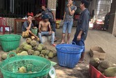 Lại ùn ùn kéo về Vĩnh Long ăn sầu riêng 19.000 đồng/kg