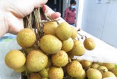 Tịch thu gần 4 tấn cà rốt Trung Quốc nhập lậu
