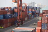Nghi vấn hạt hạnh nhân Mỹ nhập khẩu vào Việt Nam tăng đột biến