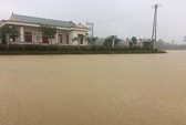Cam kết cấp điện trở lại sớm nhất cho khách hàng sau mưa bão