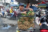 Thanh nhãn mới ở ĐBSCL giá cao gấp 2-3 lần nhãn da bò